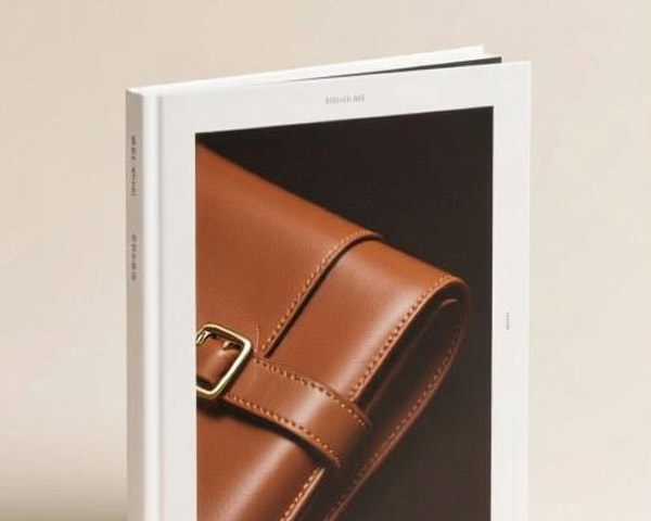 天振順皮具宣傳冊(cè)設(shè)計(jì)制作案例