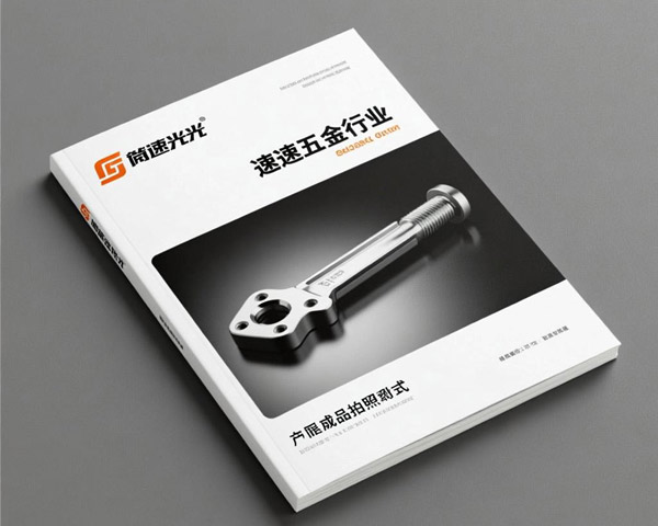 達(dá)元美包裝畫冊設(shè)計(jì)印刷案例